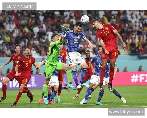 比利时与日韩国足球对决精彩回顾与赛后分析